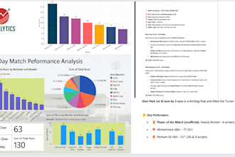 do professional cricket data analysis, match insights, and performance reports