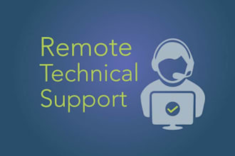 provide system technical support