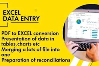 provide accurate PDF to excel data entry services with quick turnaround