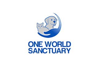 design different dog, pet, cat or animal logo design