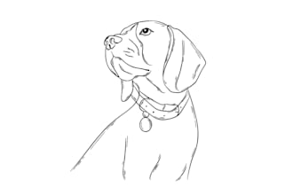 doodle semi details line drawing