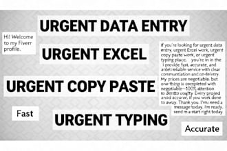 do accurate urgent data entry copy paste excel and typing