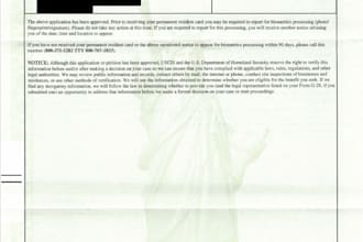 draft US immigration petitions including I 130 I 485 i 751 and n 400
