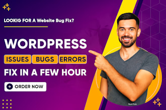 fix any wordpress issue or error professionally