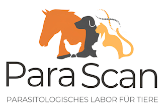 do cool  animal, pet, dog cartoon mascot logo