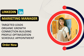 be your linkedin marketing manager, b2b b2c appointment setter