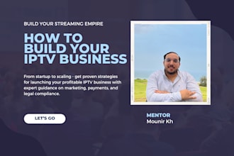 help to build an iptv business including website traffic and mentoring