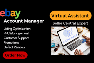 be your ebay account manager virtual assistant PPC manager
