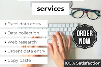 do fast accurate data entry form filling web research and lead generation