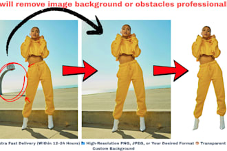 remove image background or obstacles professionally