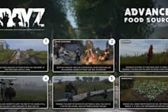 create dayz server with mods and scripts for you and redm server