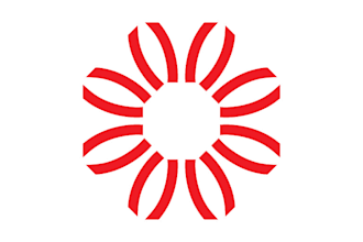 design a vector logo