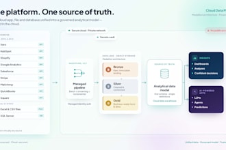 consult and elevate your ai and data anaytics