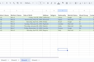 do accurate data entry and excel formulas or functions