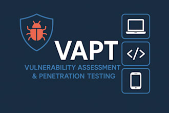 do professional web application penetration testing
