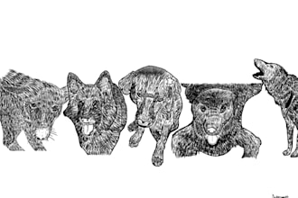 create a clean custom pet portrait line art illustration