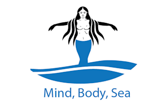 design particular paddle nantucket sea logo