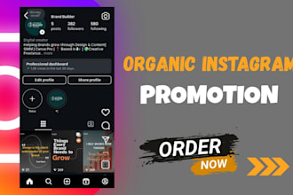 do instagram promotion with organic growth and content