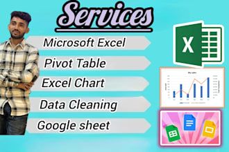 make pivot table , graphs and cleaning and formatting excel files