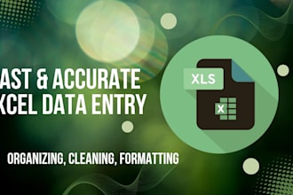 do professional data entry , formating and clean up in  excel