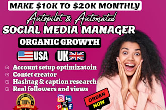 be your social media manager, facebook ads , instagram content creator