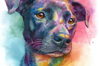 draw a rainbow watercolor portrait of your pet