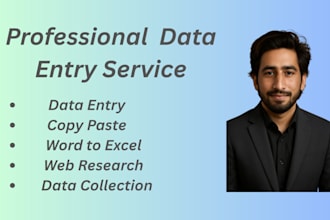 do fast and accurate data entry and web research