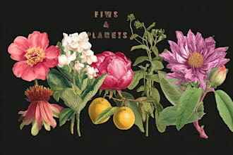 do botanical illustration in photoshop