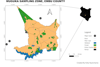 create geographical information systems gis maps