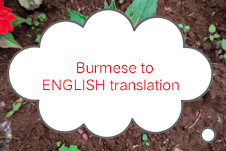 provide accurate burmese to engnish translation