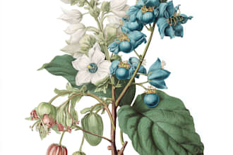 paint watercolour botanical illustrations for you