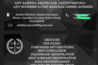 handle all fbr and secp matters in pakistan