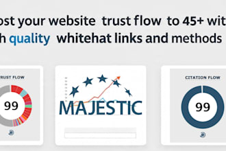 boost your website trust flow tf to 45plus with high quality whitehat links
