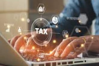 prepare USA tax  returns for individuals and businesses