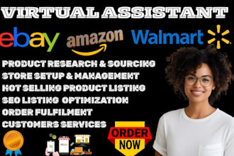 ebay dropshipping expert amazon to ebay virtual assistant walmart dropshipping