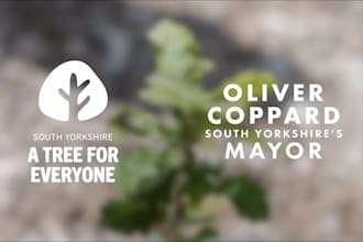 design a minimalist and tree logo