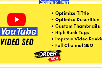 be your youtube manager for video SEO and channel growth