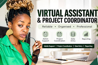 be your virtual assistant and project coordinator