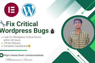 fix critical wordpress bugs with free revisions