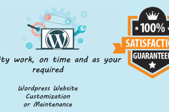 do wordpress website customization and maintenance