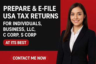 prepare and efile USA tax return for individuals and businesses
