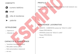 cv chiaro, moderno e su misura