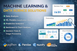 do machine learning and data science projects