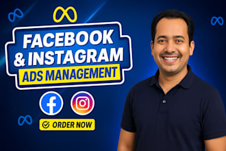 setup and optimize facebook and instagram ads for max ROI