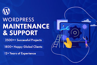 provide wordpress maintenance and support or help