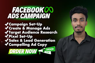 run facebook ads campaign, fb ads management, fb advertising