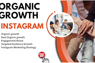 organically grow your instagram account