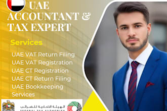 provide expert uae corporate tax return filing, accounting, and auditing support