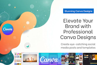 design  canva templates for social media and business use