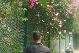 do image colour grading